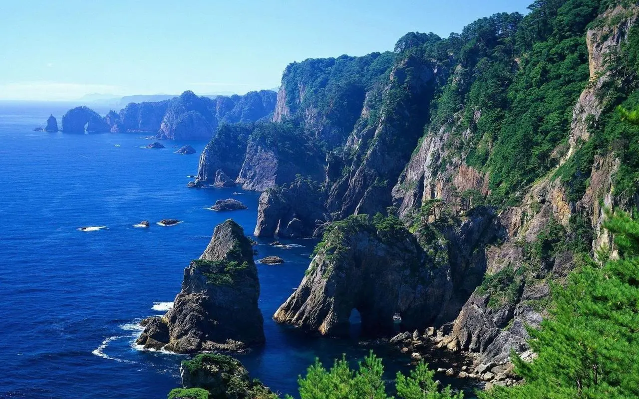 独特稳定性高性能